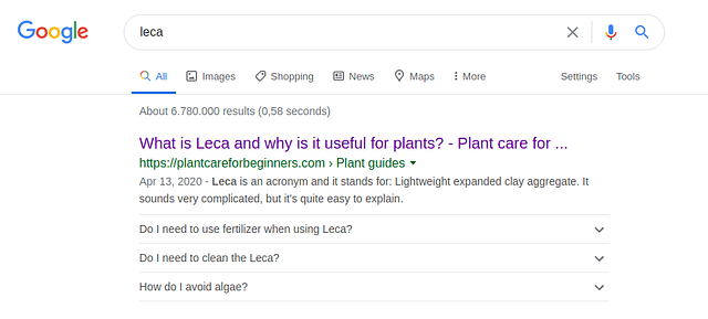 Google search results for FAQ items