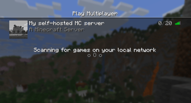 My self-hosted MC server My self-hosted MC server