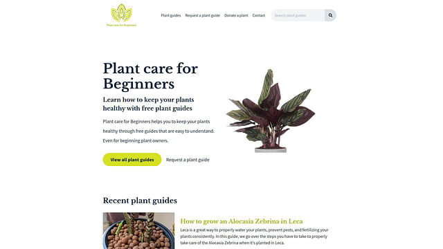Plant care for beginners